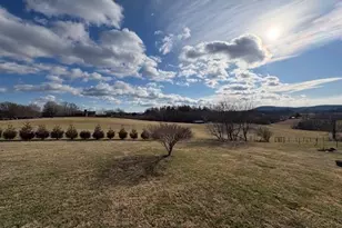 927 Shingle Gap Rd, Purlear, NC 28665 - Photo 10