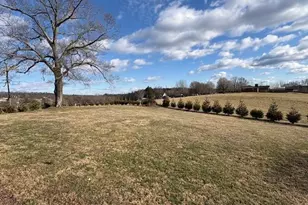 927 Shingle Gap Rd, Purlear, NC 28665 - Photo 10