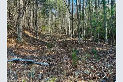 Tbd S Nc Highway 16, Moravian Falls, NC 28654 - Photo 12