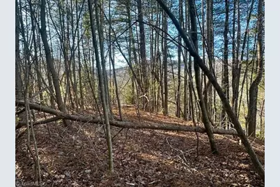 Tbd S Nc Highway 16, Moravian Falls, NC 28654 - Photo 4