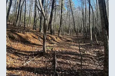 Tbd S Nc Highway 16, Moravian Falls, NC 28654 - Photo 2