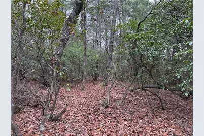 Lot 82 Deer Antler Drive, Purlear, NC 28665 - Photo 10