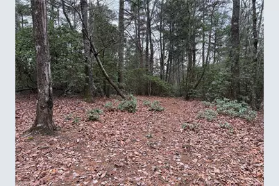 Lot 82 Deer Antler Drive, Purlear, NC 28665 - Photo 2