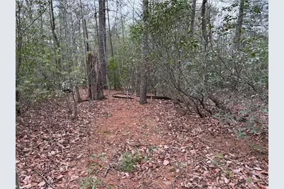 Lot 82 Deer Antler Drive, Purlear, NC 28665 - Photo 12