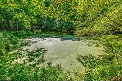 0 Mills Road, Mount Airy, NC 27030 - Photo 8