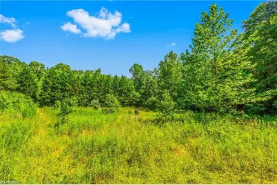 0 Mills Road, Mount Airy, NC 27030 - Photo 10