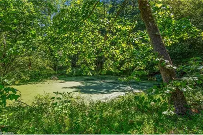 0 Mills Road, Mount Airy, NC 27030 - Photo 6