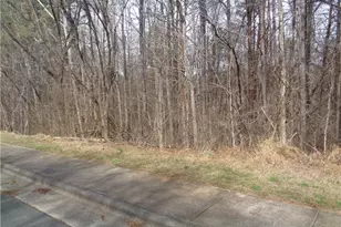 91 Lot Haynoke Dr, Graham, NC 27253 - Photo 1