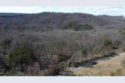 1096-1238 Cook School Road #97+/- AC Tract, Pilot Mountain, NC 27041 - Photo 6