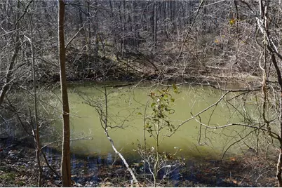 1096-1238 Cook School Road #97+/- AC Tract, Pilot Mountain, NC 27041 - Photo 34