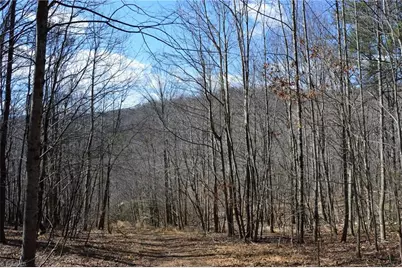 1096-1238 Cook School Road #97+/- AC Tract, Pilot Mountain, NC 27041 - Photo 48