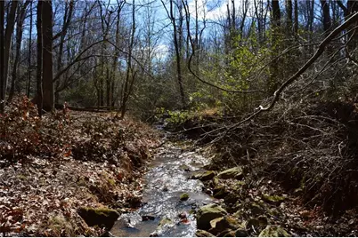 1096-1238 Cook School Road #97+/- AC Tract, Pilot Mountain, NC 27041 - Photo 28