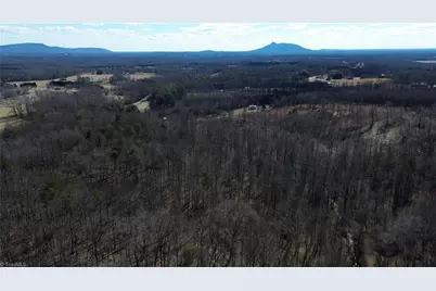 1096-1238 Cook School Road #97+/- AC Tract, Pilot Mountain, NC 27041 - Photo 8