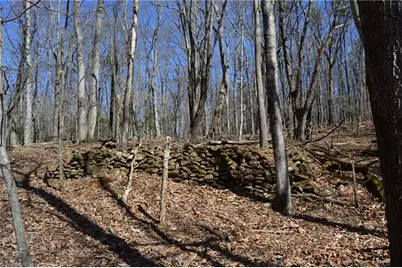 1096-1238 Cook School Road #97+/- AC Tract, Pilot Mountain, NC 27041 - Photo 46
