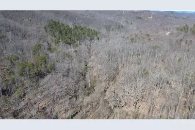 1096-1238 Cook School Road #97+/- AC Tract, Pilot Mountain, NC 27041 - Photo 10