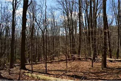 1096-1238 Cook School Road #97+/- AC Tract, Pilot Mountain, NC 27041 - Photo 20