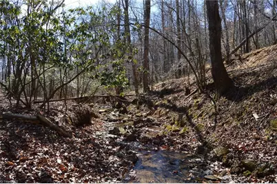1096-1238 Cook School Road #97+/- AC Tract, Pilot Mountain, NC 27041 - Photo 30