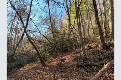 Tbd (Lot 1) Dugger Firetower Road, Lenoir, NC 28645 - Photo 8