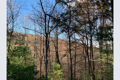 Tbd (Lot 1) Dugger Firetower Road, Lenoir, NC 28645 - Photo 1