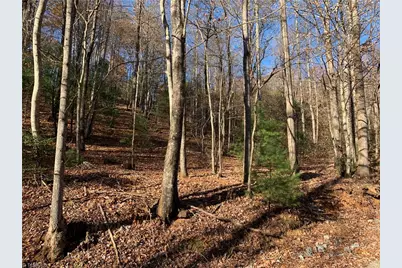 Tbd (Lot 4) Wolf Den Lane, Lenoir, NC 28645 - Photo 12