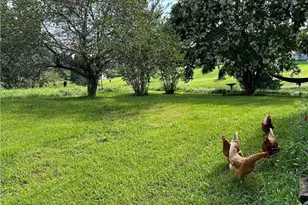 1063 Pell Rd, Westfield, NC 27053 - Photo 4