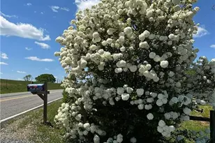 1063 Pell Rd, Westfield, NC 27053 - Photo 6