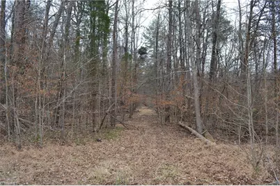 8.6 Acres Davie Lane, Madison, NC 27025 - Photo 8