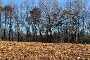 4432 W Pine St, Mount Airy, NC 27030 - Photo 2