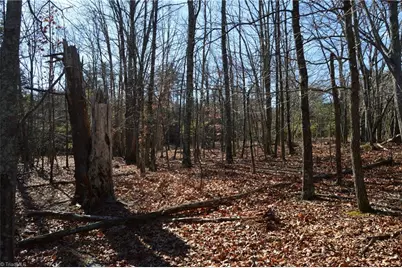 Tract G Hanging Rock Forest Road #G, Danbury, NC 27016 - Photo 20