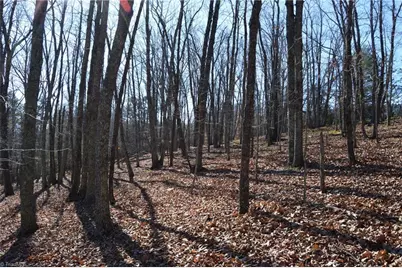 Tract G Hanging Rock Forest Road #G, Danbury, NC 27016 - Photo 18