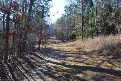 Tract H Hanging Rock Forest Road #H, Danbury, NC 27016 - Photo 12