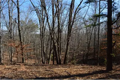 Tract H Hanging Rock Forest Road #H, Danbury, NC 27016 - Photo 14