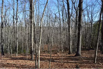 Tract H Hanging Rock Forest Road #H, Danbury, NC 27016 - Photo 22