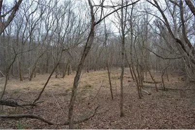 17.2 Acres Davie Lane, Madison, NC 27025 - Photo 14