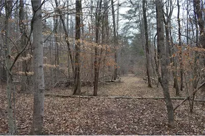 17.2 Acres Davie Lane, Madison, NC 27025 - Photo 10