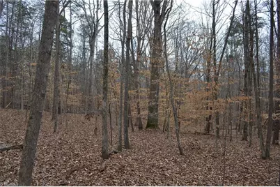 17.2 Acres Davie Lane, Madison, NC 27025 - Photo 18