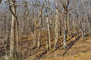 Tbd 23 Locust Circle, West Jefferson, NC 28694 - Photo 1