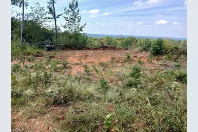 000 Holder Inman Road, Randleman, NC 27317 - Photo 4