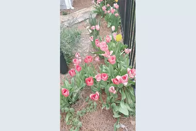 210 Coventry Park Lane, Winston-Salem, NC 27104 - Photo 34