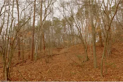 3361 Nc Highway 66 S, Westfield, NC 27053 - Photo 12