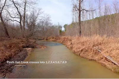 3361 Nc Highway 66 S, Westfield, NC 27053 - Photo 16