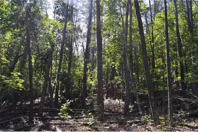 Tract C Nc Highway 89 W #Tract C, Danbury, NC 27016 - Photo 22