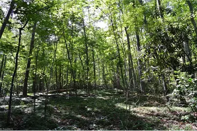 Tract C Nc Highway 89 W #Tract C, Danbury, NC 27016 - Photo 16