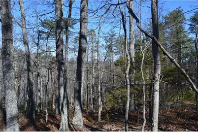 Tract C Nc Highway 89 W #Tract C, Danbury, NC 27016 - Photo 4