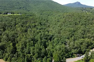 Tract C Nc Hwy 89 W, Danbury, NC 27016 - Photo 1