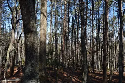 Tract C Nc Highway 89 W #Tract C, Danbury, NC 27016 - Photo 8