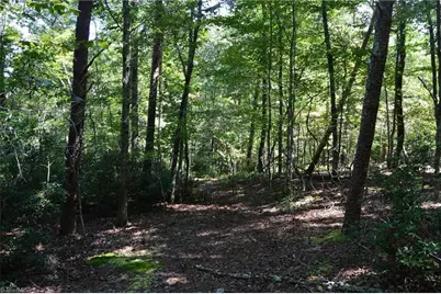 Tract C Nc Highway 89 W #Tract C, Danbury, NC 27016 - Photo 20