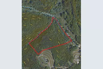 Tract C Nc Highway 89 W #Tract C, Danbury, NC 27016 - Photo 32