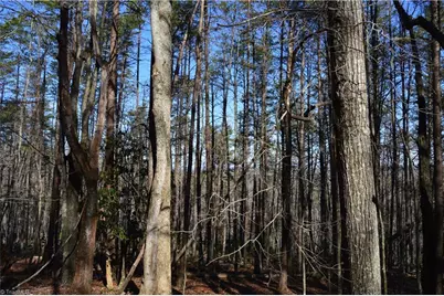 Tract C Nc Highway 89 W #Tract C, Danbury, NC 27016 - Photo 6