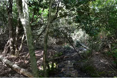 Tract E Hanging Rock Forest Road #Tract E, Danbury, NC 27016 - Photo 14